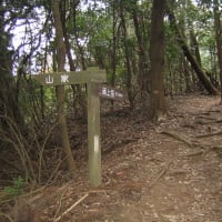 久方の砥上岳登山