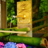 唐沢山神社の花手水を記録してきました。