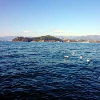 沖釣り、爆釣でした