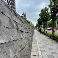 金子やすし衆議院議員にお会いしました！