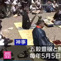 「鮒ずし」手を触れず切り分ける神事（守山市）