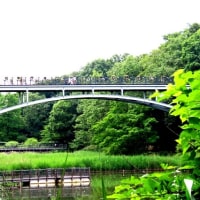 2024初夏の船橋アンデルセン公園へ（5月24日）前編（自然体験ゾーン・メルヘンの丘ゾーンほか）