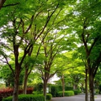 今日のおでかけ