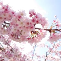 春近し😊💕🌸
