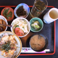 形原温泉あじさいの里-3