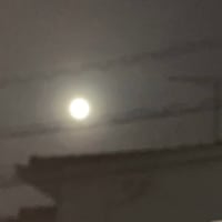 満月の夜の独り言…日本の最古の（？）物語に想う… 