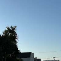 今朝の空(5月30日)