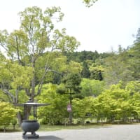 397. 雲蝶彫刻を訪ねる旅5日目　最終日