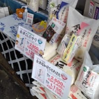 今年もやります　福島米キャンペ－ン5月31日まで　福島区ではオンリーワン　特に会津よつば農協限定の福笑いのお米食べて下さい