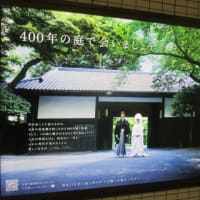 東京・白金台にある八芳園の日本庭園・・・実に美しいお庭でした！江戸時代に出来た４００年の歴史を持つ日本庭園