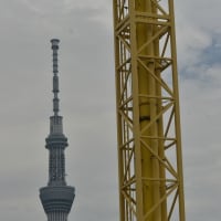 子供に返った夏の1日と、秘密の部屋❓　浅草で1