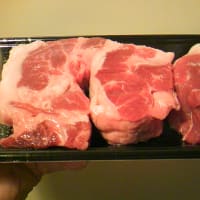 miyazaki beef