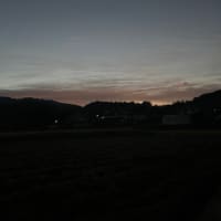 会う約束