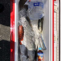 １号船午前便タテ釣り、2号船午前便イサキ釣りです。