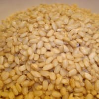 おいしい玄米　（日本産・有機玄米）