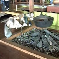 海鳥のサンクチュアリ　天売島と森林浴を楽しむメルヘンの焼尻島　７４回目　羽幌
