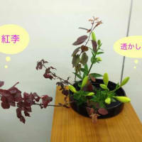 小原流生け花