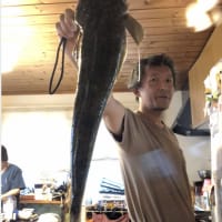 昨日の朝は