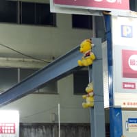 夜のお写んぽ プーさん磔の刑