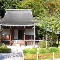 シャガール展&寂光院