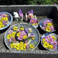 鎌倉腰越御朱印巡り②