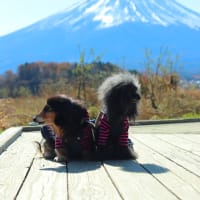 富士山に会いに行く旅♪  ～河口湖～