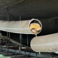 トイレなど排水管の詰まりを防ぐ方法