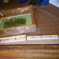 開拓の村へ