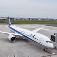 宮崎空港 全日空 Boeing787-10（２０２４年５月２２日）