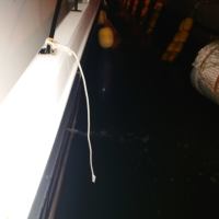 朝から忙しく！