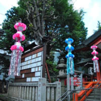 朝の散歩　板橋熊野神社に茅の輪　　　20