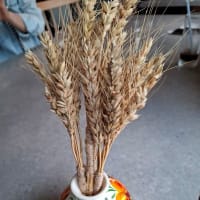おいしいウクライナ料理　！「ジート」でランチを！