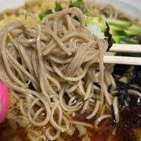 山形麺食いレポート・123