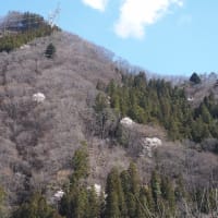 4月9日の山