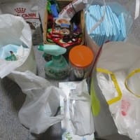 ジーンちゃんの経過