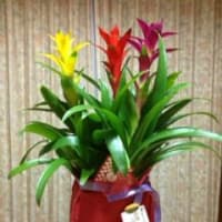 ３つの贈り物