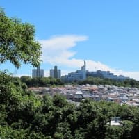 東風（コチ）の再会　9