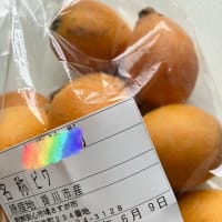 忘れちやったー！