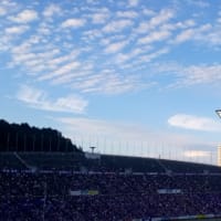 サンフレッチェ広島試合観戦　ルバン杯　アビスパ福岡戦