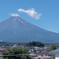 夏、ふじ、来た～！・・
