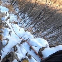 二子山・スーパーたこやん
