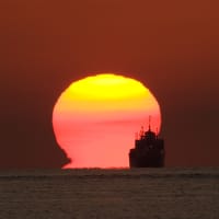  Sputnik 日本【自衛軍、修身、教育勅語？ 「日本人ファースト」を主張する参政党の新憲法案が波紋】