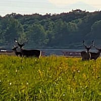 戻ってきました北海道