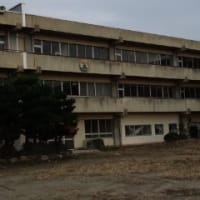 「閖上（ゆりあげ）」に魚市場が再開（再会）しました。