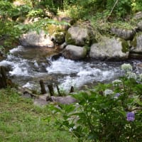 薄曇りの 福崎公園