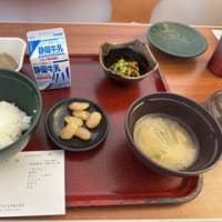 元マリンちゃん、両膝人工関節置換手術を受ける！！