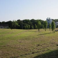 小出川・茅ヶ崎里山公園～ポタリング