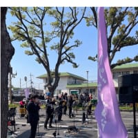 今日いち-2025年4月26日