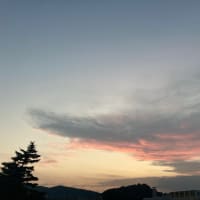 久しぶりです