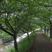 日記一日目